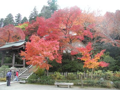 🍁 엔메이 절(엔묘지) 이미지 2